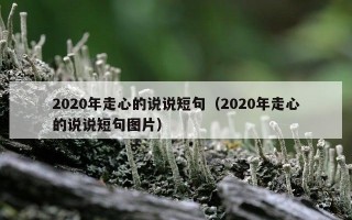 2020年走心的说说短句（2020年走心的说说短句图片）