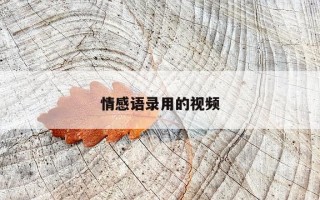 情感语录用的视频