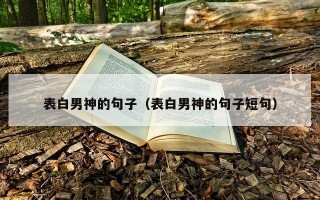 表白男神的句子（表白男神的句子短句）