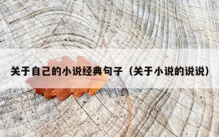 关于自己的小说经典句子（关于小说的说说）
