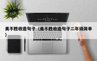 美不胜收造句子（美不胜收造句子二年级简单）