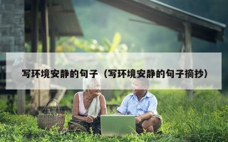 写环境安静的句子（写环境安静的句子摘抄）