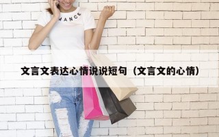 文言文表达心情说说短句（文言文的心情）