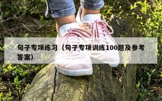 句子专项练习（句子专项训练100题及参考答案）