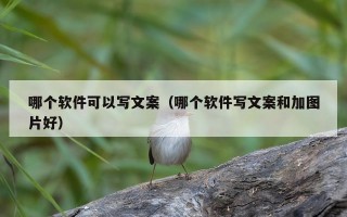 哪个软件可以写文案（哪个软件写文案和加图片好）