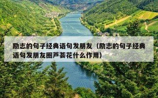 励志的句子经典语句发朋友（励志的句子经典语句发朋友圈芦荟花什么作用）