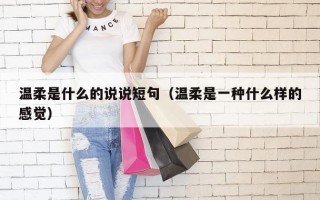 温柔是什么的说说短句（温柔是一种什么样的感觉）