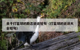 关于打篮球的励志说说短句（打篮球的说说大全短句）