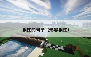 狼性的句子（形容狼性）