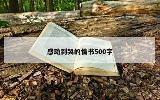 感动到哭的情书500字 感动到哭的情书500字