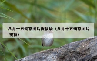 八月十五动态图片祝福语（八月十五动态图片 祝福）