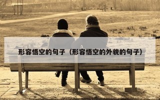 形容悟空的句子（形容悟空的外貌的句子）