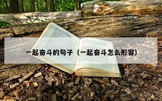 一起奋斗的句子（一起奋斗怎么形容）