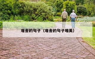 难舍的句子（难舍的句子唯美）
