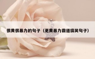 很黄很暴力的句子（更黄暴力霸道搞笑句子）