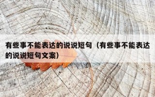 有些事不能表达的说说短句（有些事不能表达的说说短句文案）