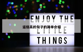 逼格高的句子的简单介绍