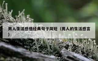 男人生活感悟经典句子简短（男人的生活感言）