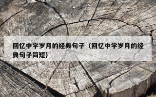 回忆中学岁月的经典句子（回忆中学岁月的经典句子简短）