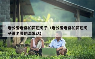 老公爱老婆的简短句子（老公爱老婆的简短句子爱老婆的温馨话）