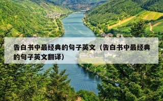告白书中最经典的句子英文（告白书中最经典的句子英文翻译）