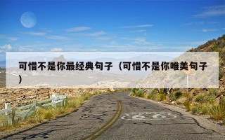 可惜不是你最经典句子（可惜不是你唯美句子）