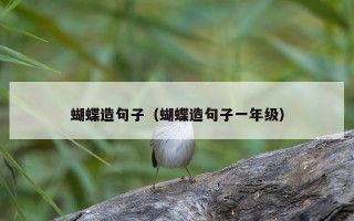 蝴蝶造句子（蝴蝶造句子一年级）