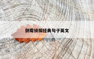 倒霉侦探经典句子英文