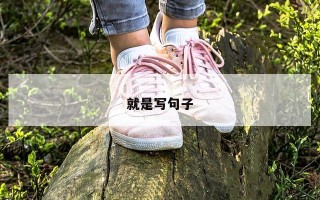 就是写句子