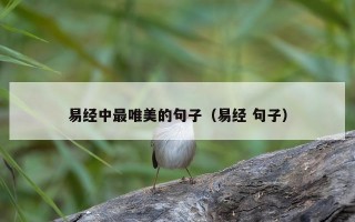 易经中最唯美的句子（易经 句子）