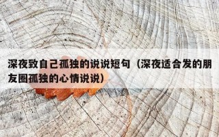 深夜致自己孤独的说说短句（深夜适合发的朋友圈孤独的心情说说）