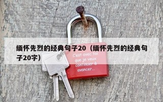 缅怀先烈的经典句子20（缅怀先烈的经典句子20字）