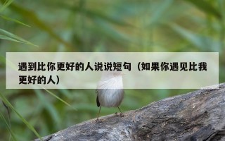 遇到比你更好的人说说短句（如果你遇见比我更好的人）