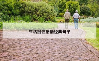 生活挺住感悟经典句子