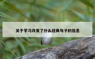 关于学习改变了什么经典句子的信息