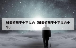 唯美短句子十字以内（唯美短句子十字以内少年）