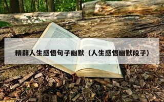 精辟人生感悟句子幽默（人生感悟幽默段子）
