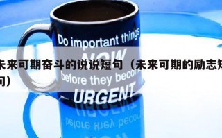 未来可期奋斗的说说短句（未来可期的励志短句）