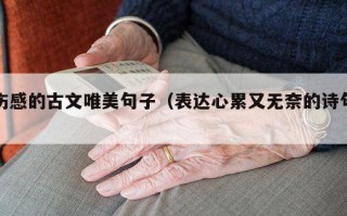 伤感的古文唯美句子（表达心累又无奈的诗句）