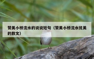 赞美小桥流水的说说短句（赞美小桥流水优美的散文）