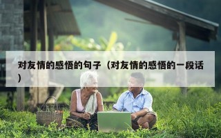 对友情的感悟的句子（对友情的感悟的一段话）