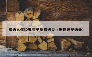 禅语人生经典句子感恩遇见（感恩遇见语录）
