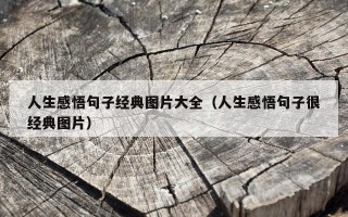 人生感悟句子经典图片大全（人生感悟句子很经典图片）