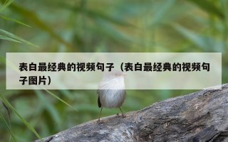 表白最经典的视频句子（表白最经典的视频句子图片）