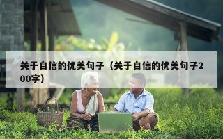 关于自信的优美句子（关于自信的优美句子200字）