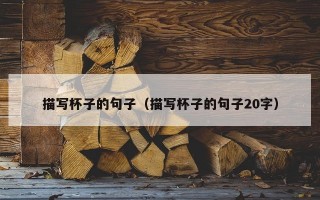 描写杯子的句子（描写杯子的句子20字）