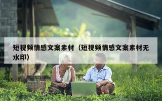 短视频情感文案素材（短视频情感文案素材无水印）