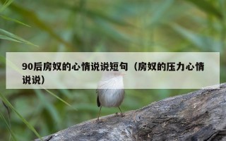 90后房奴的心情说说短句（房奴的压力心情说说）