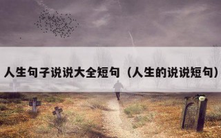 人生句子说说大全短句（人生的说说短句）