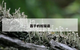 磊字的祝福语